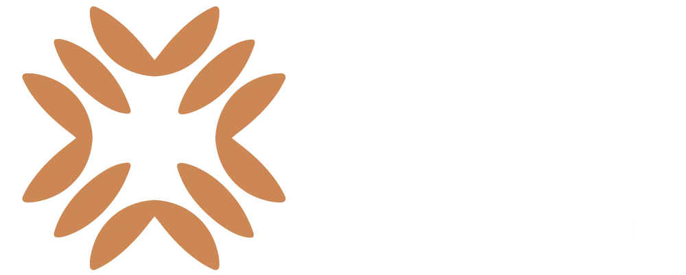 Dubai Go